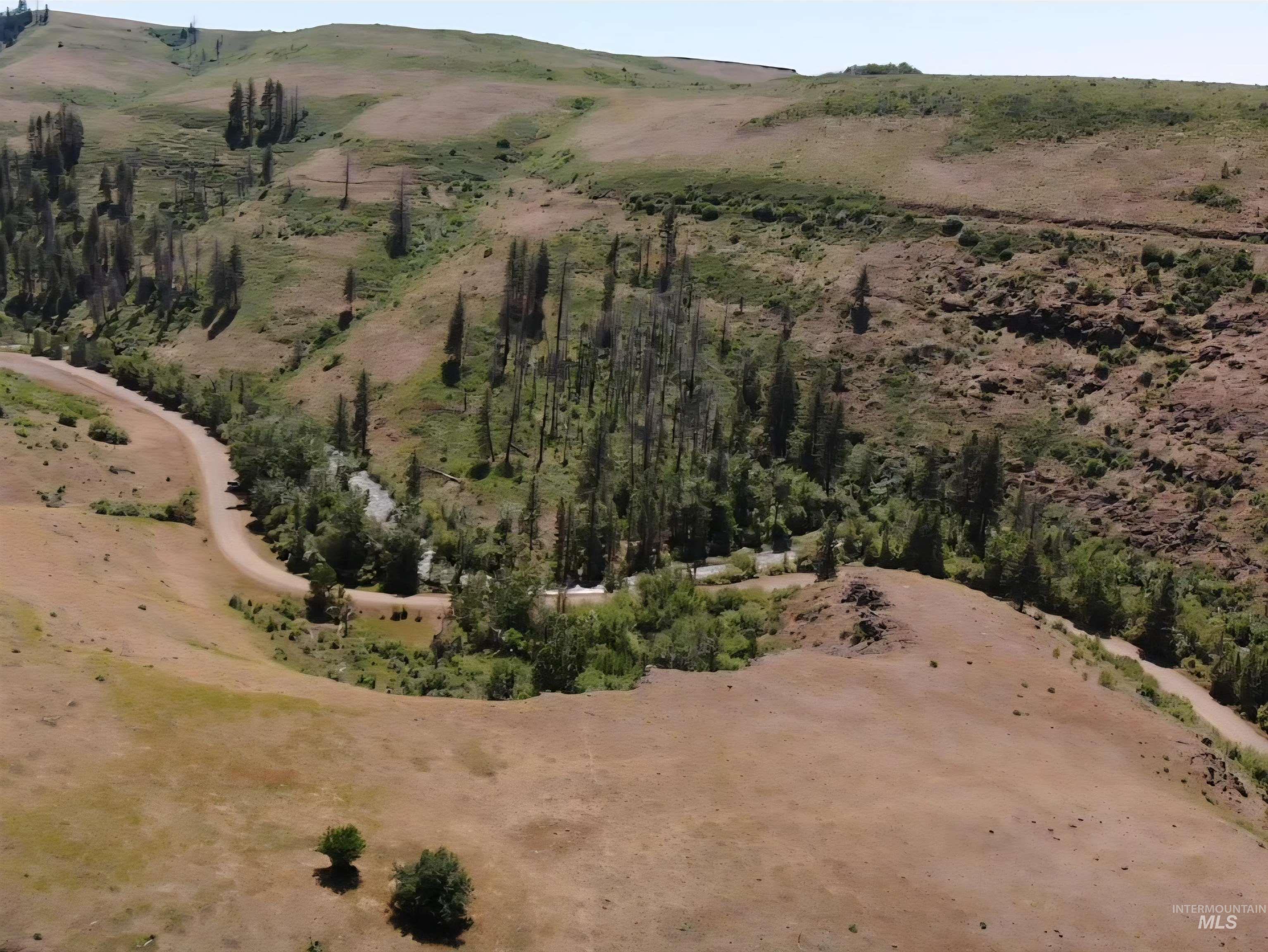 TBD Middle Fork Road, Council, Idaho 83612, Land For Sale, Price $299,000,MLS 98949009