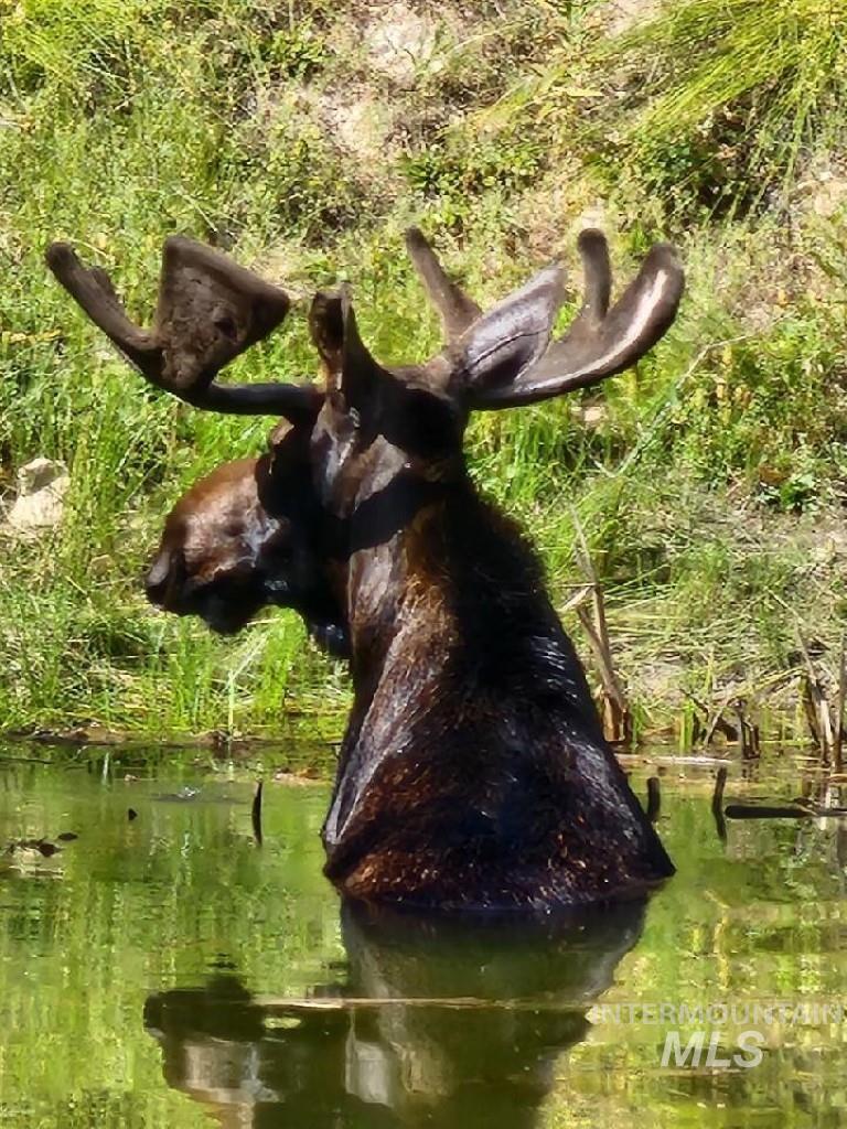 600 Clear Creek Rd, Boise, Idaho 83716-0000, 2 Bedrooms, 2 Bathrooms, Residential For Sale, Price $589,000, 98949066