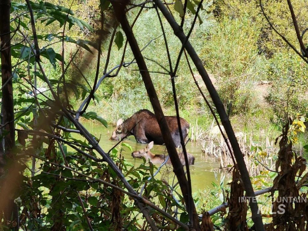 600 Clear Creek Rd, Boise, Idaho 83716-0000, 2 Bedrooms, 2 Bathrooms, Residential For Sale, Price $589,000, 98949066