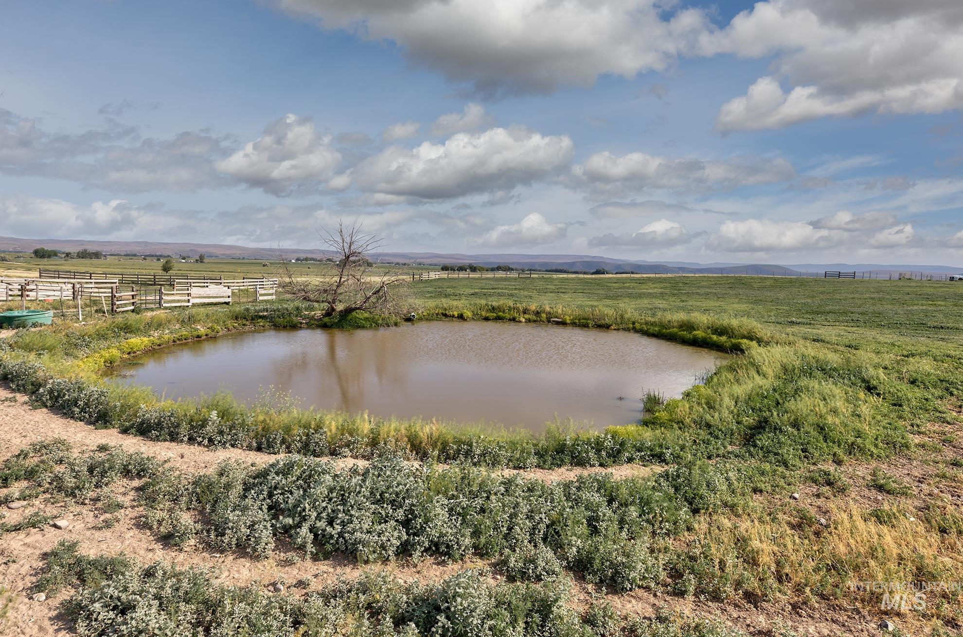 2175 Graham Blvd, Vale, Oregon 97918, 4 Bedrooms, 3.5 Bathrooms, Farm & Ranch For Sale, Price $1,300,000, 98949245