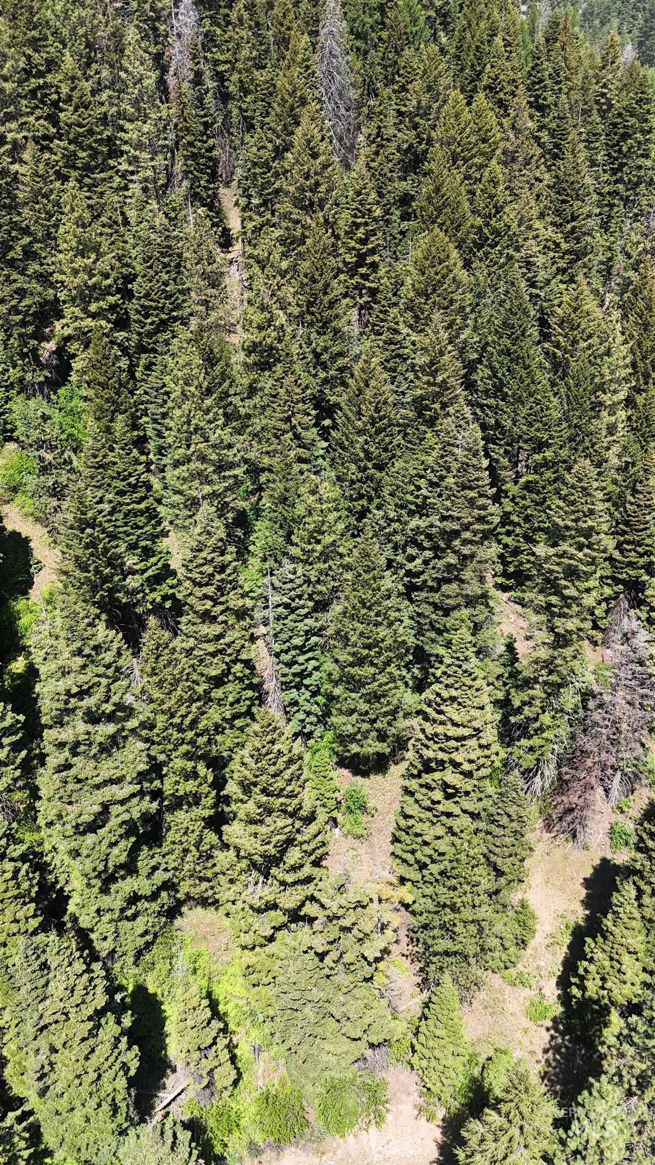 74 Burnt Wagon Trail, Donnelly, Idaho 83615, Land For Sale, Price $100,000, 98949285