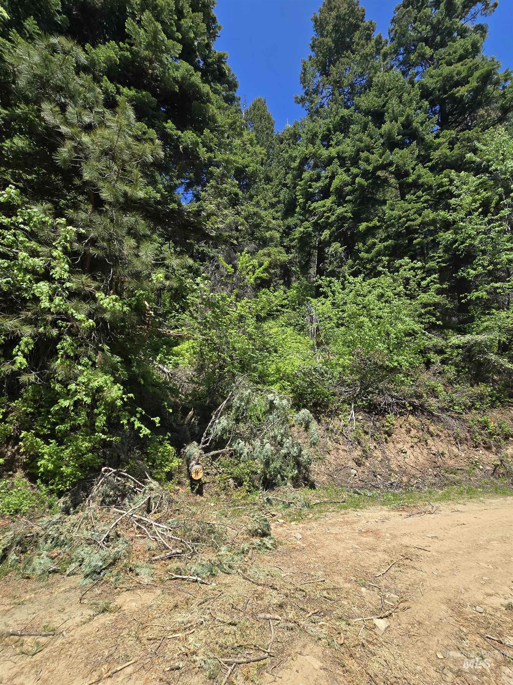 74 Burnt Wagon Trail, Donnelly, Idaho 83615, Land For Sale, Price $100,000, 98949285