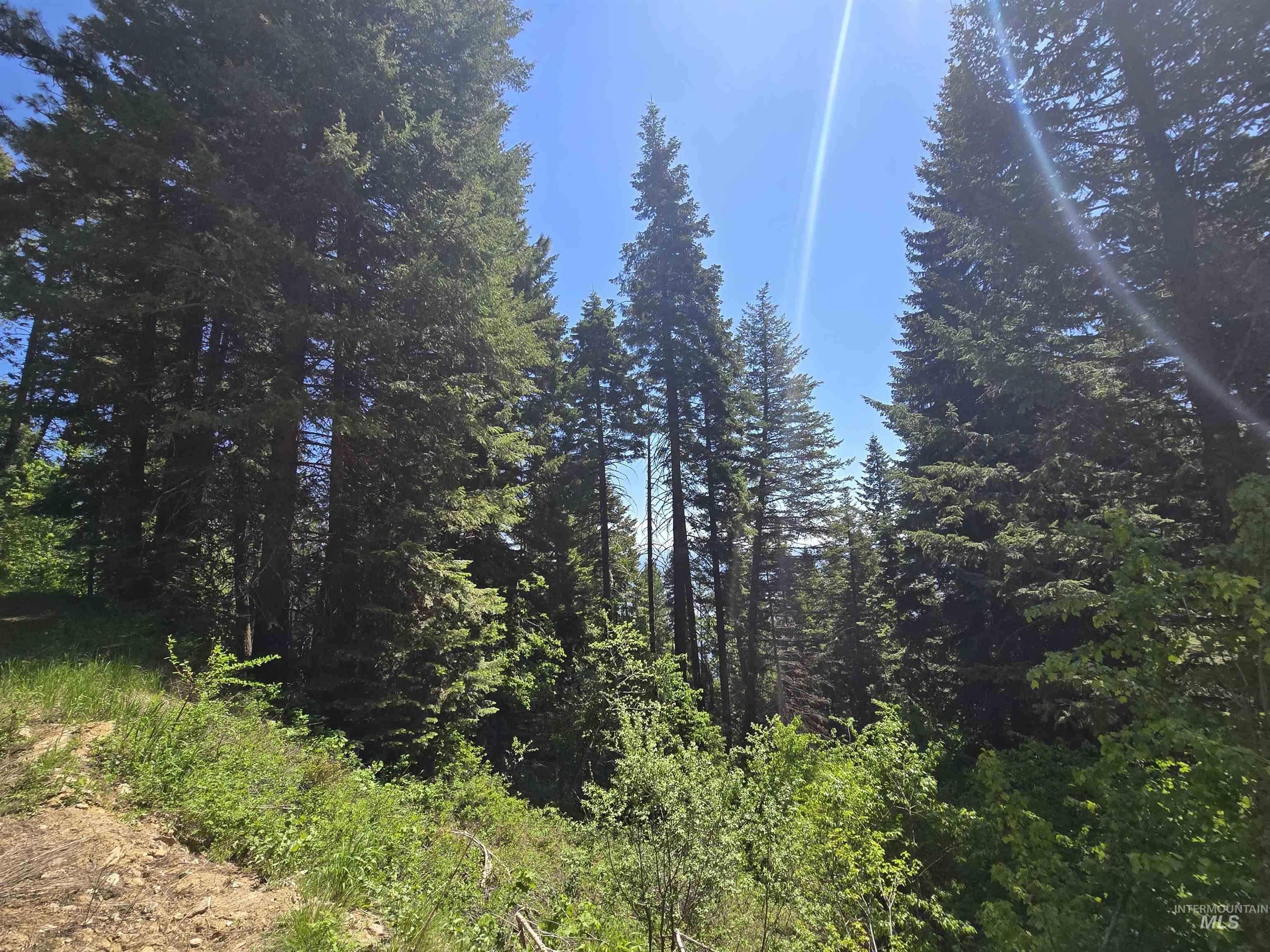 74 Burnt Wagon Trail, Donnelly, Idaho 83615, Land For Sale, Price $100,000, 98949285
