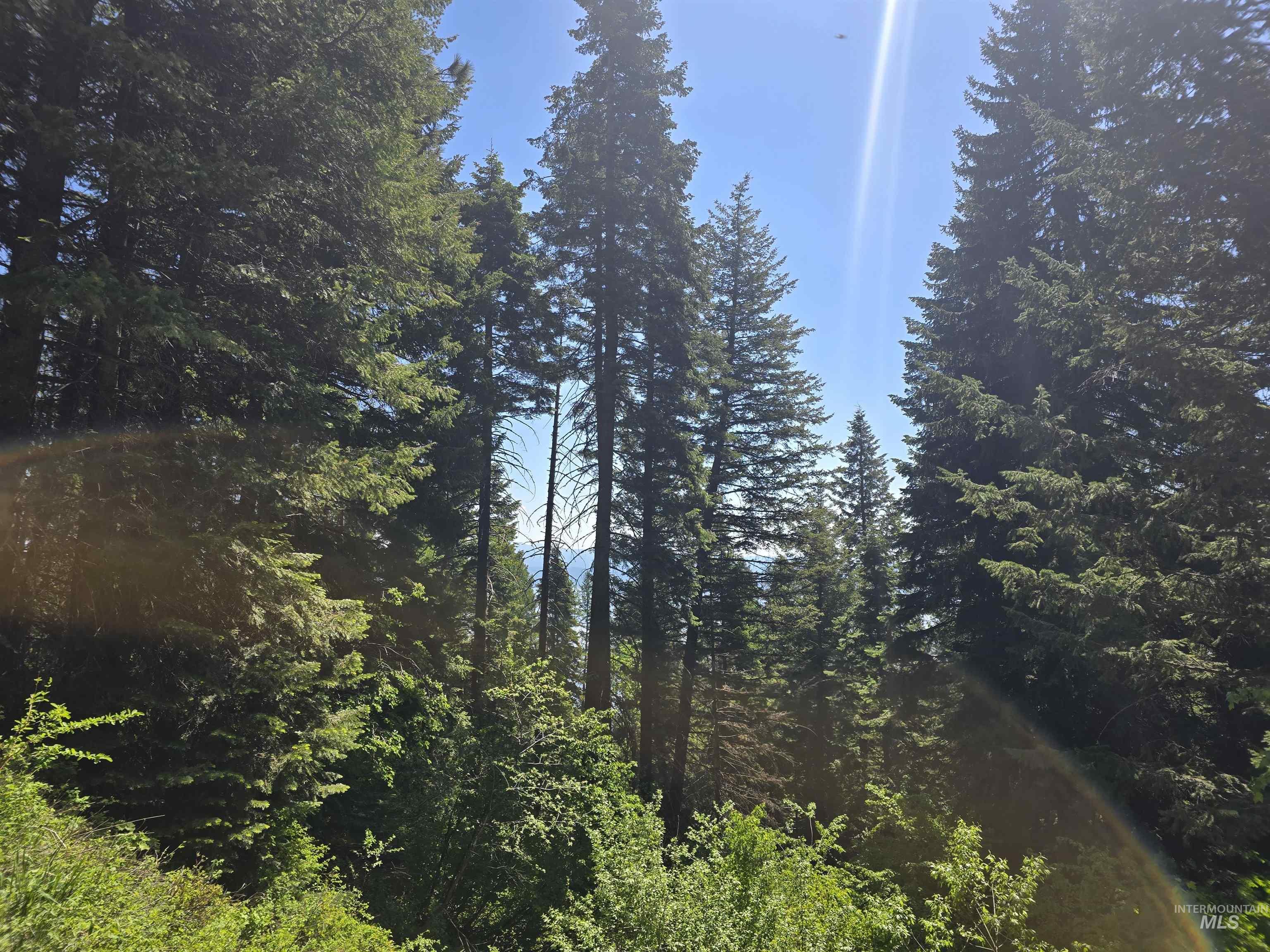 74 Burnt Wagon Trail, Donnelly, Idaho 83615, Land For Sale, Price $100,000, 98949285