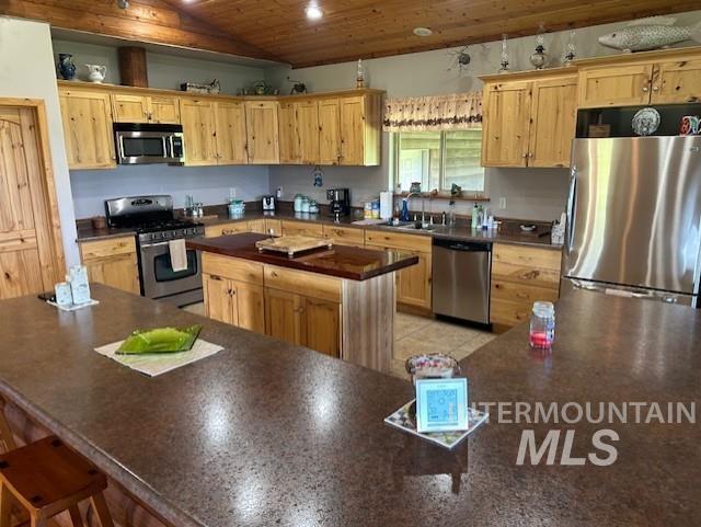 1621 Doumecq Rd, CottonWood, Idaho 83522, 3 Bedrooms, 2 Bathrooms, Residential For Sale, Price $775,000, 98949298