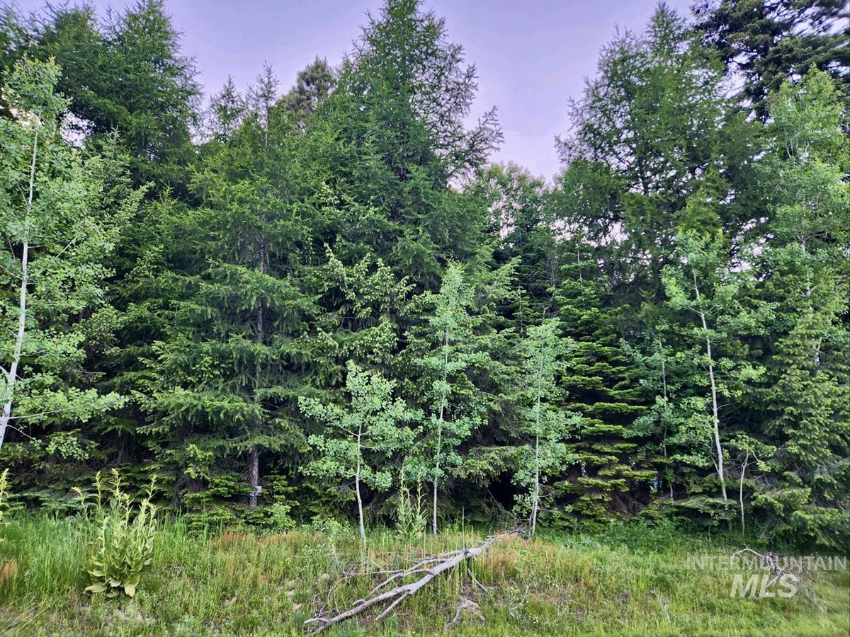 1457 West Mountain Road, Donnelly, Idaho 83615, Land For Sale, Price $309,000, 98949426
