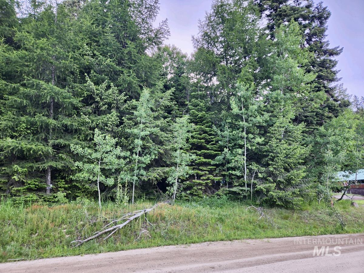 1457 West Mountain Road, Donnelly, Idaho 83615, Land For Sale, Price $309,000, 98949426