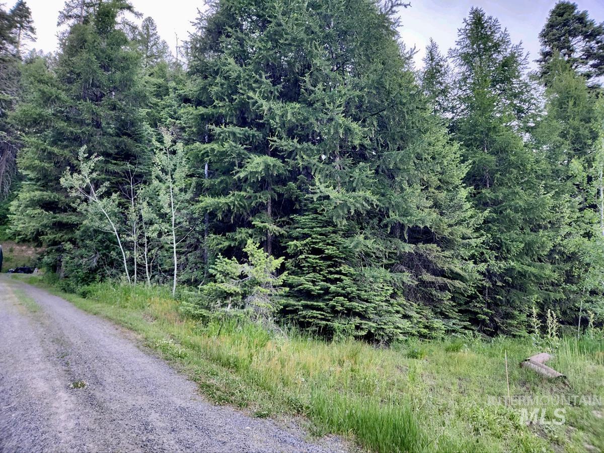 1457 West Mountain Road, Donnelly, Idaho 83615, Land For Sale, Price $309,000, 98949426