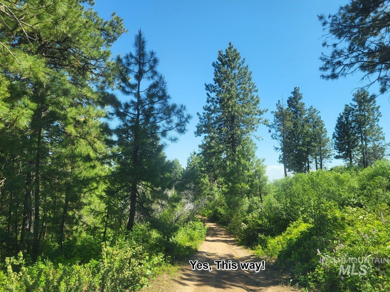 Lots 1 & 2 Wilderness Ridge Rd, Boise, Idaho 83716, Land For Sale, Price $255,000, 98949646