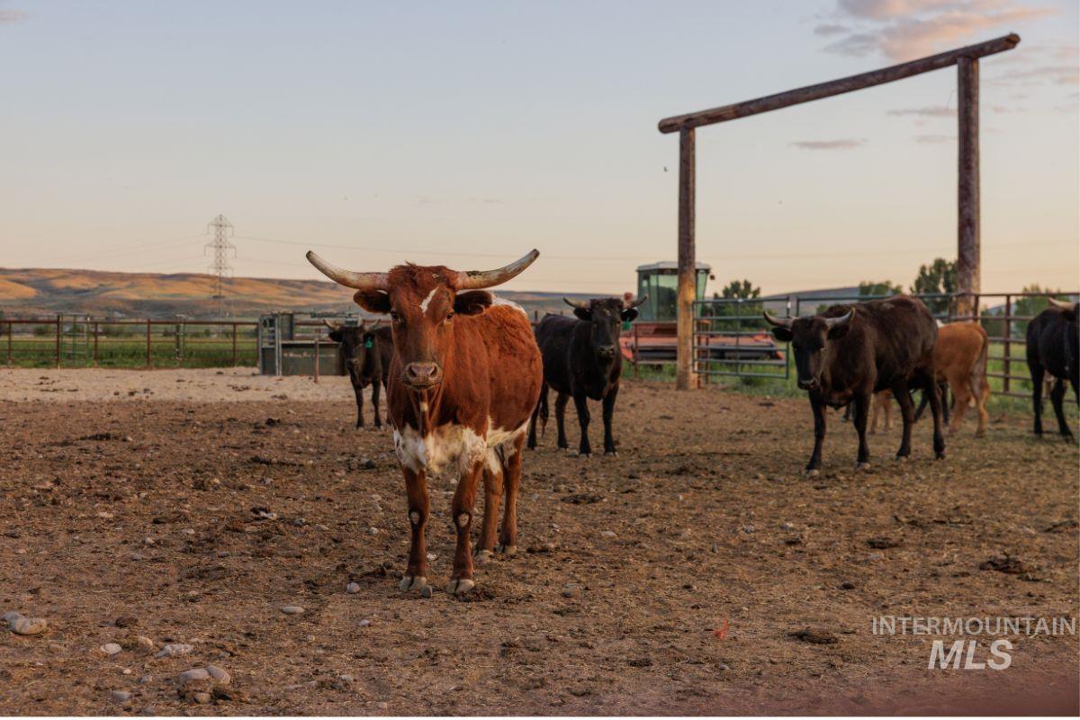 2143 Bonner Rd, Midvale, Idaho 83645, 4 Bedrooms, 2.5 Bathrooms, Residential For Sale, Price $2,550,000, 98949669