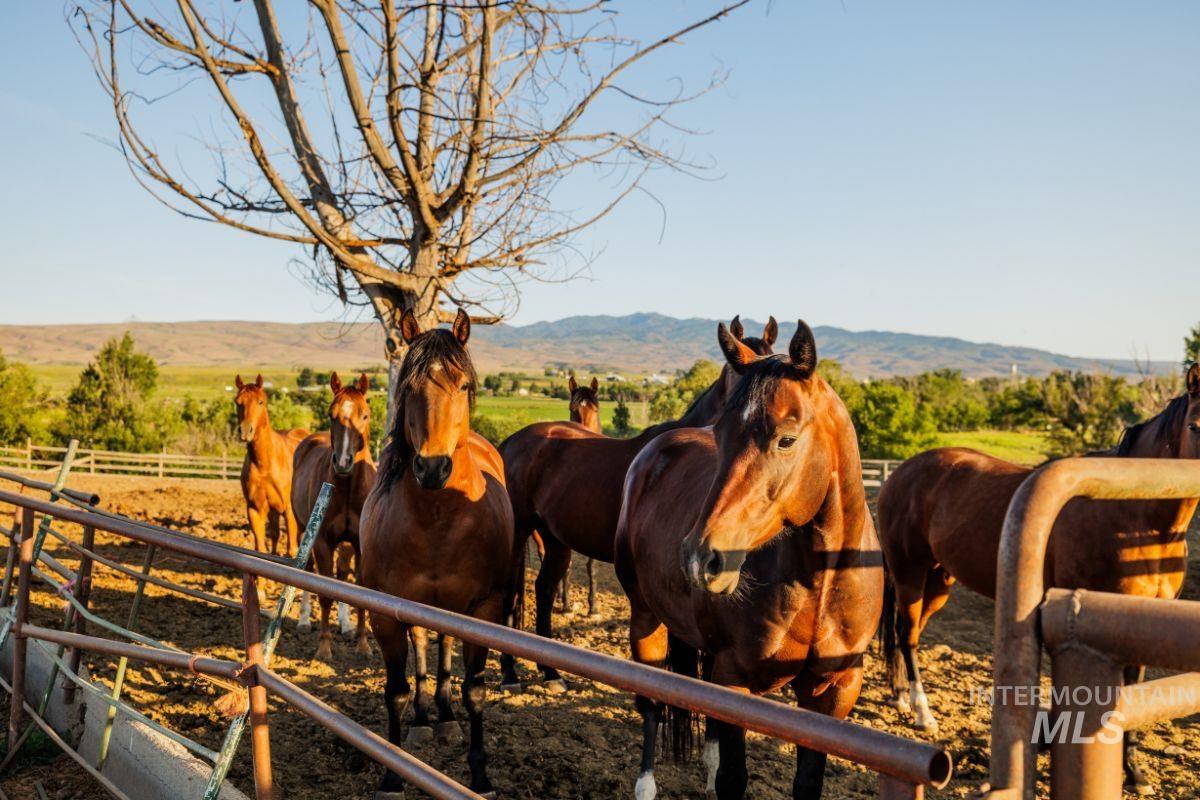 2143 Bonner Rd, Midvale, Idaho 83645, 4 Bedrooms, 2.5 Bathrooms, Residential For Sale, Price $2,550,000, 98949669