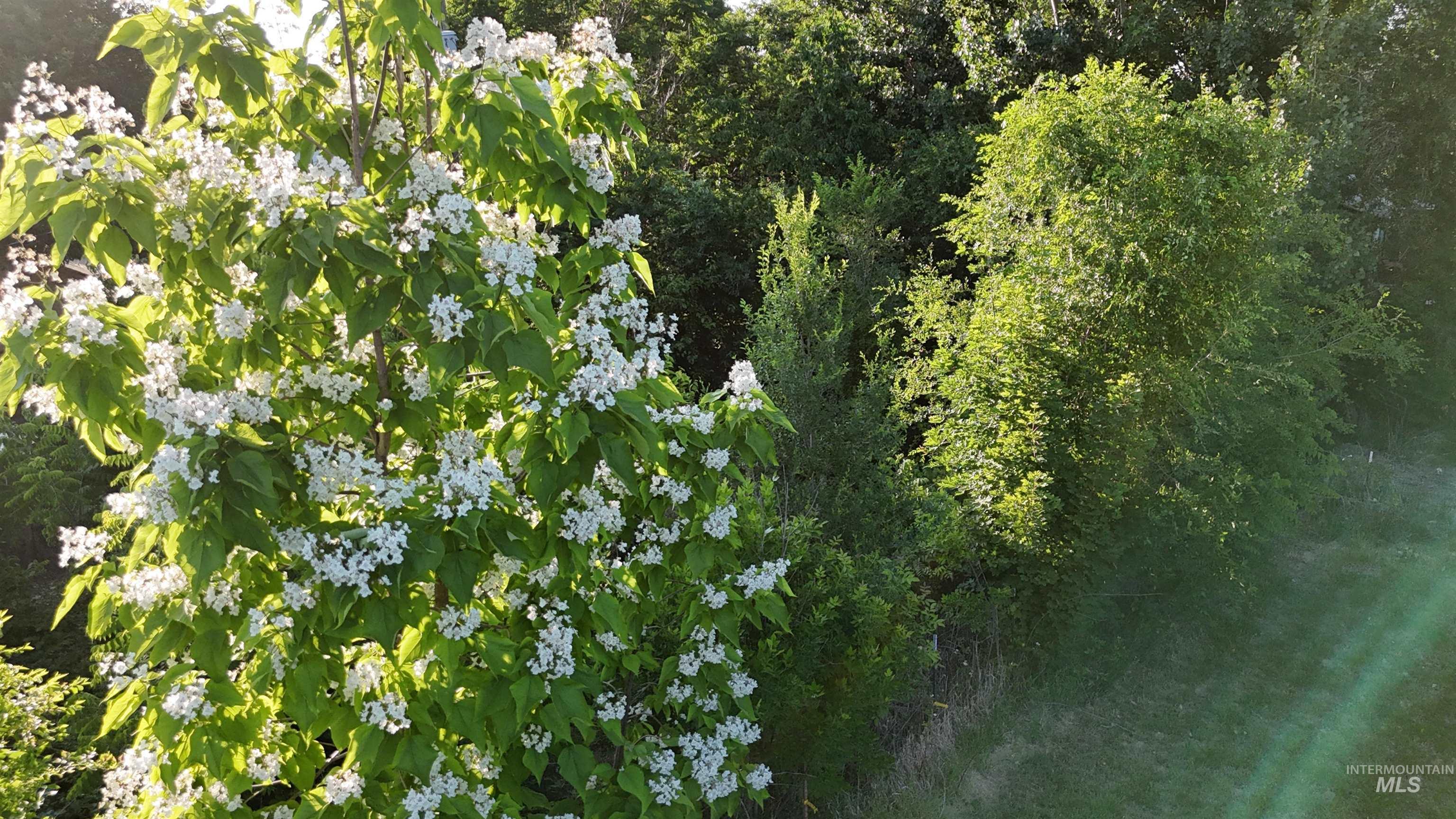 251 Gary Ave Lot B, Notus, Idaho 83656, Land For Sale, Price $189,900,MLS 98949804