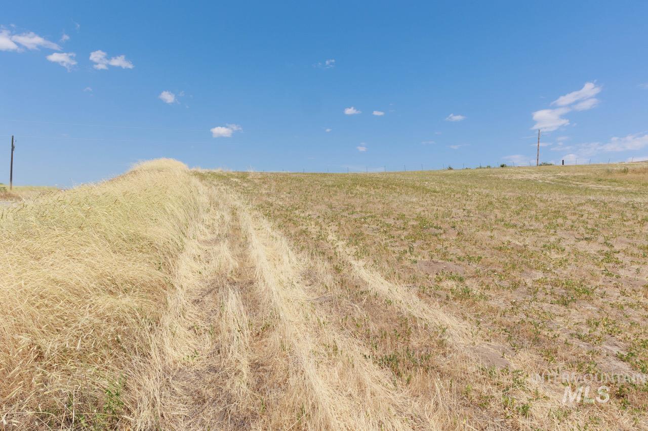 View of nature featuring rural landscape
