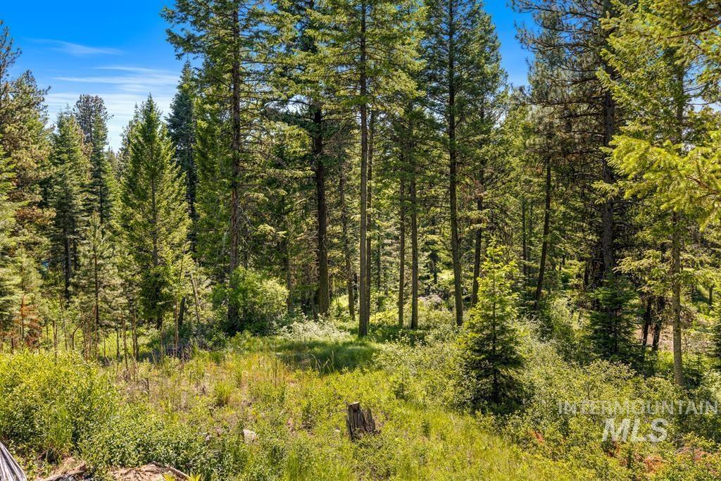 10 Collins Court, McCall, Idaho 83638, Land For Sale, Price $199,000, 98949920
