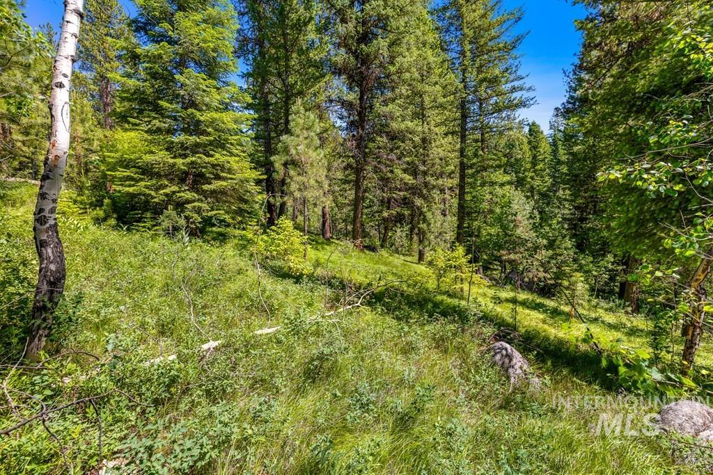 10 Collins Court, McCall, Idaho 83638, Land For Sale, Price $199,000, 98949920