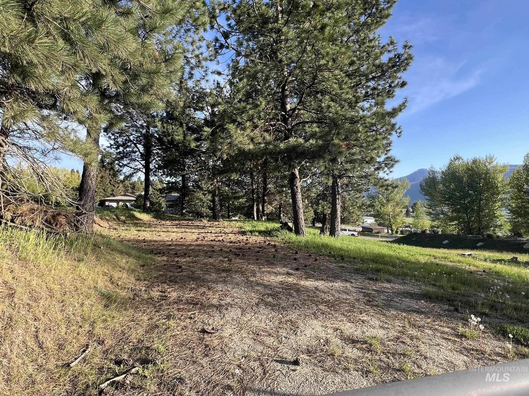 515 Lakeview Dr., Cascade, Idaho 83611, Land For Sale, Price $450,000, 98950041