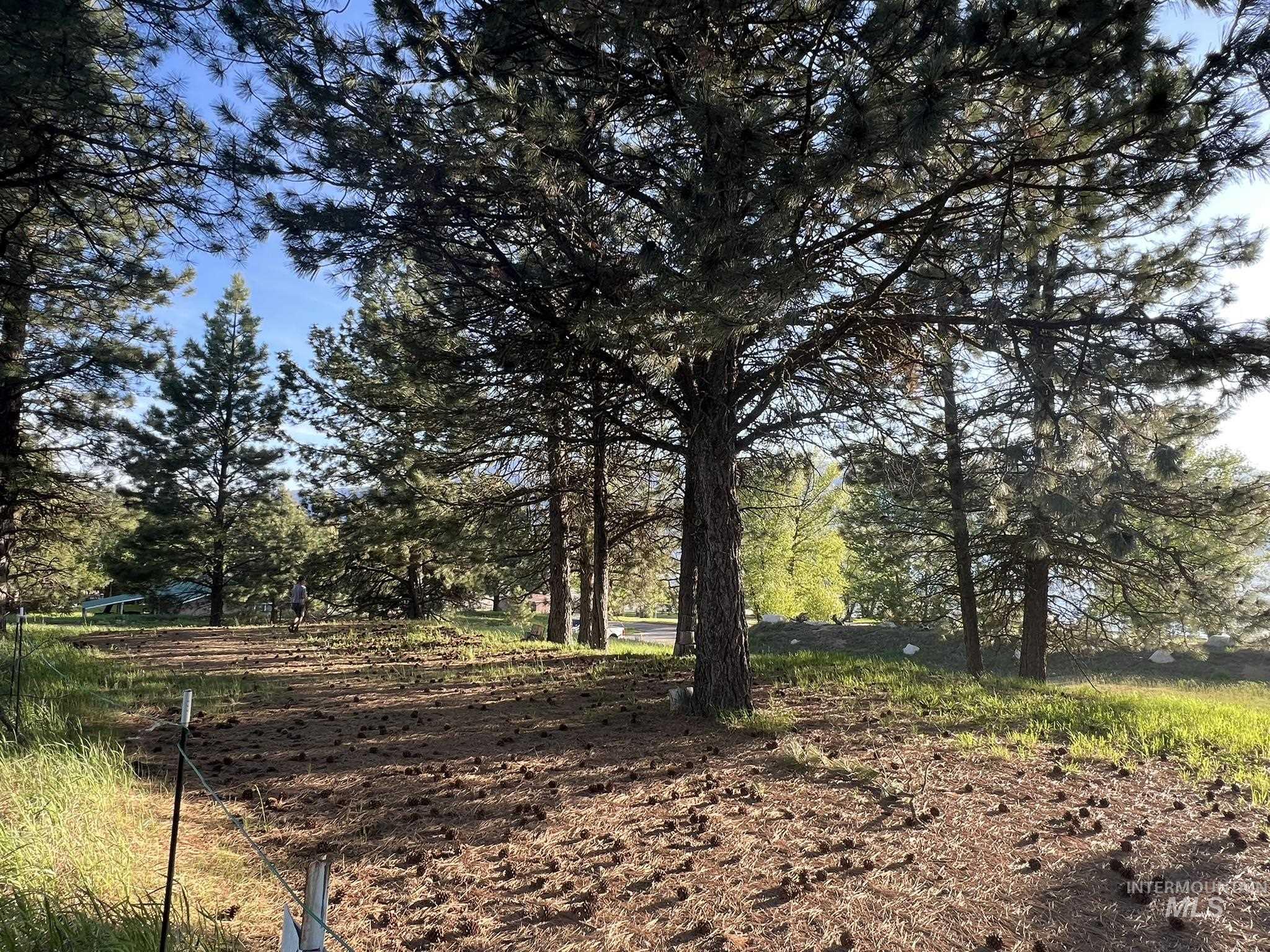 515 Lakeview Dr., Cascade, Idaho 83611, Land For Sale, Price $450,000, 98950041