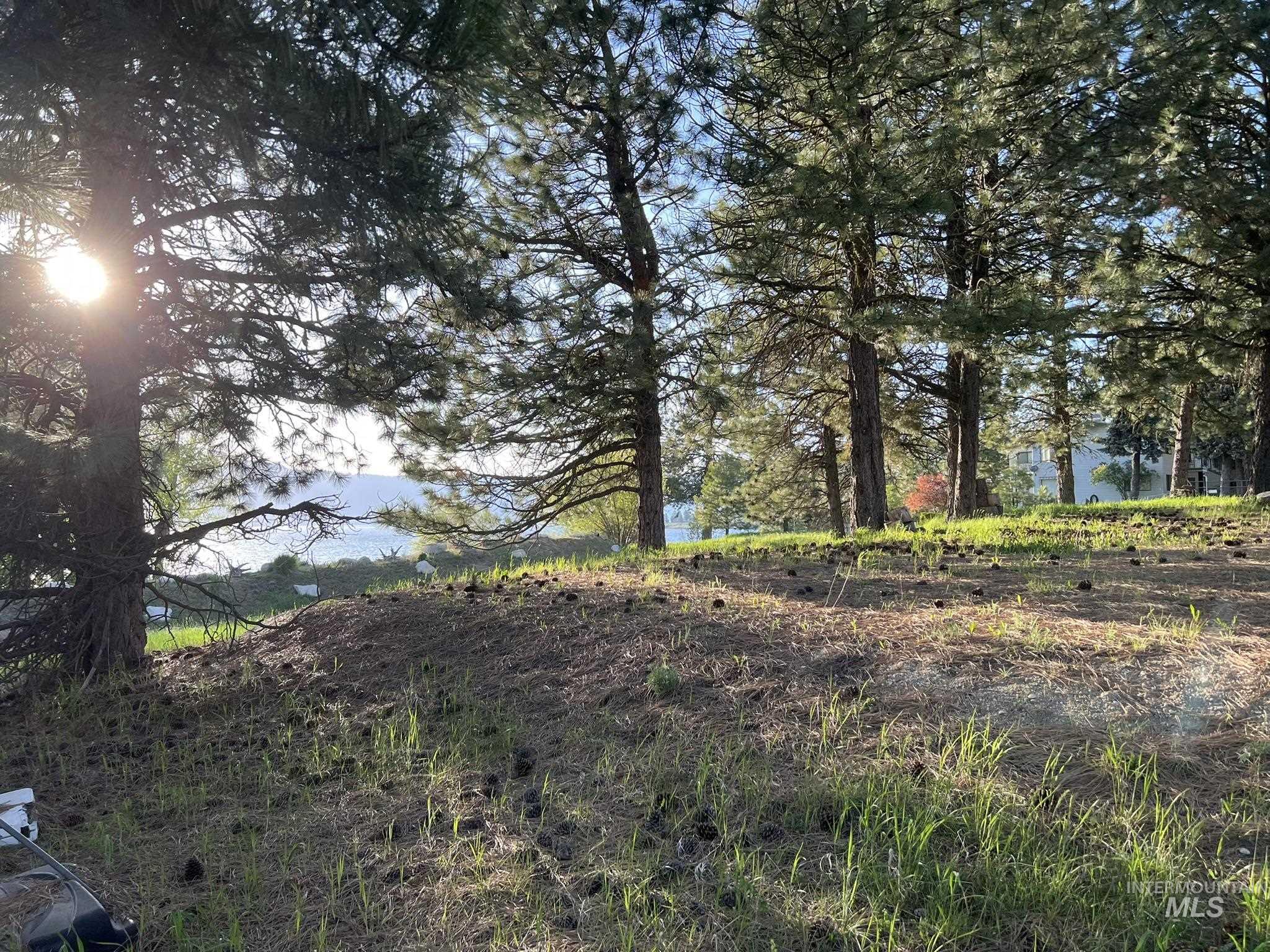 515 Lakeview Dr., Cascade, Idaho 83611, Land For Sale, Price $450,000, 98950041
