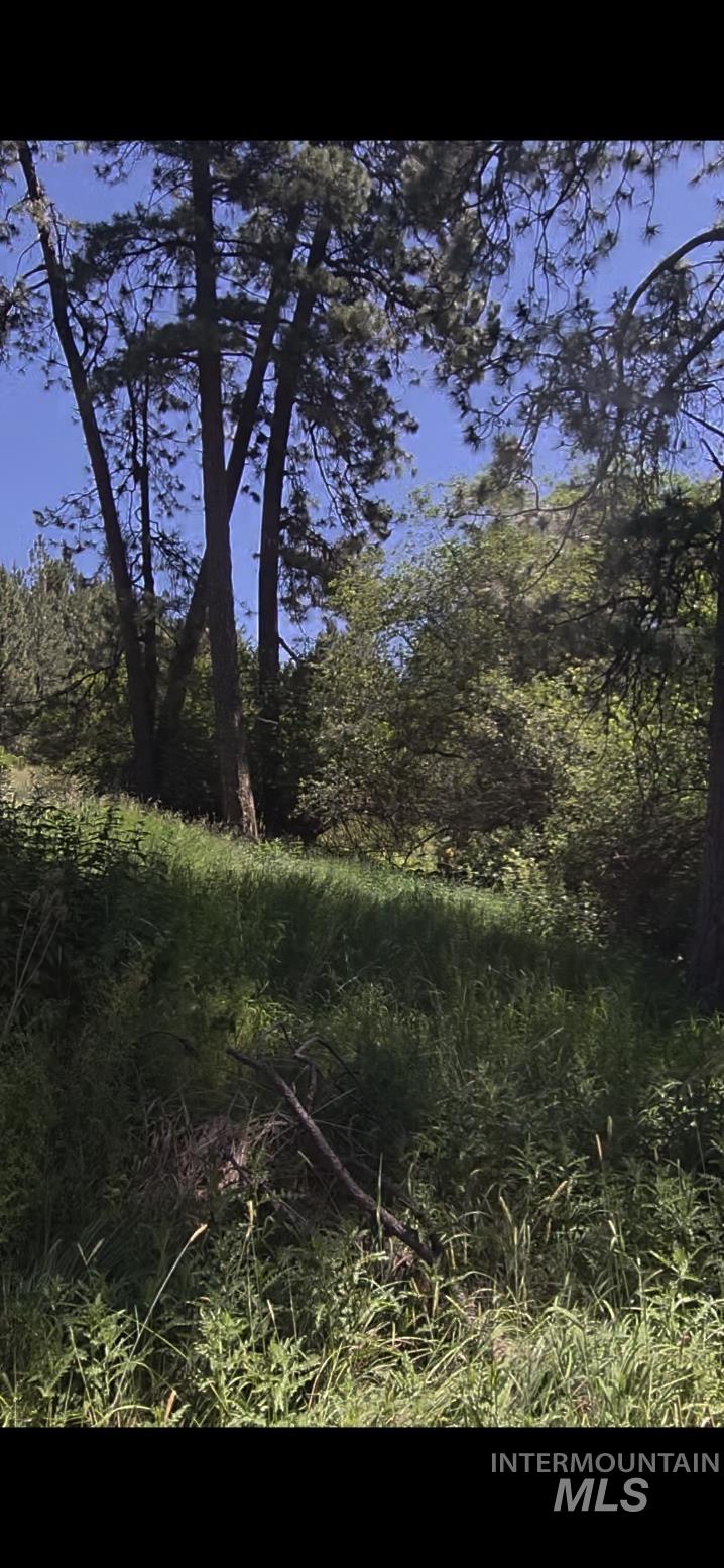 TBD Four Mile Rd., Viola, Idaho 83872, Land For Sale, Price $375,000,MLS 98950354