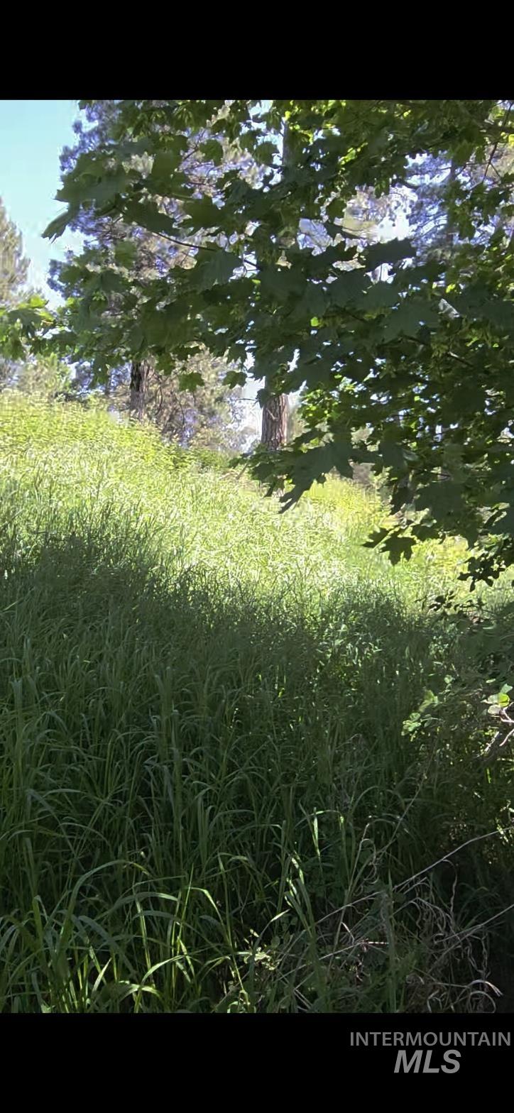 TBD Four Mile Rd., Viola, Idaho 83872, Land For Sale, Price $375,000,MLS 98950354