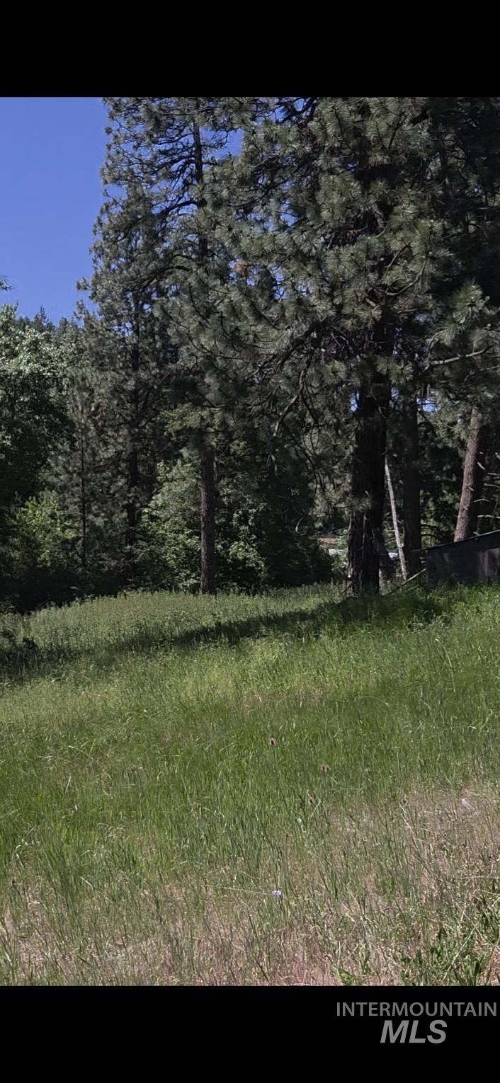 TBD Four Mile Rd., Viola, Idaho 83872, Land For Sale, Price $375,000,MLS 98950354
