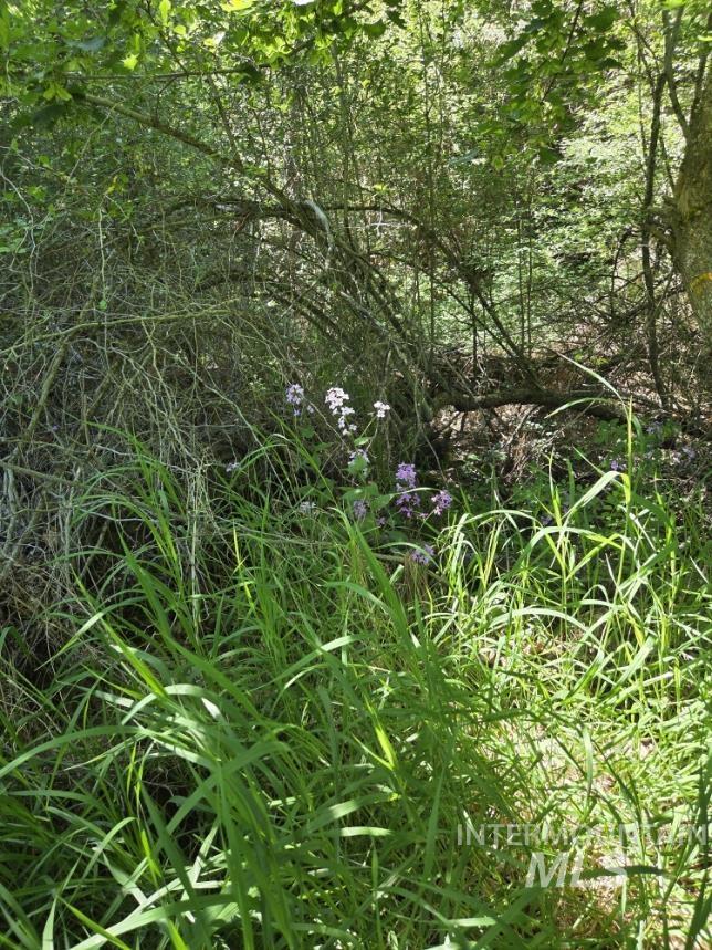 TBD Four Mile Rd., Viola, Idaho 83872, Land For Sale, Price $375,000,MLS 98950354