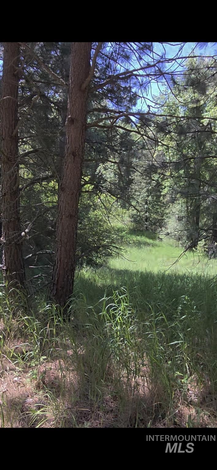 TBD Four Mile Rd., Viola, Idaho 83872, Land For Sale, Price $375,000,MLS 98950354