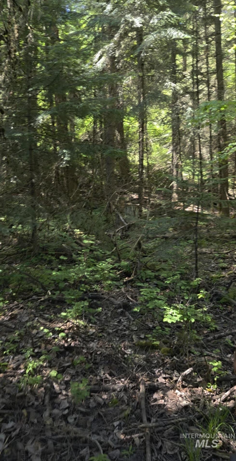 TBD Four Mile Rd., Viola, Idaho 83872, Land For Sale, Price $375,000,MLS 98950354