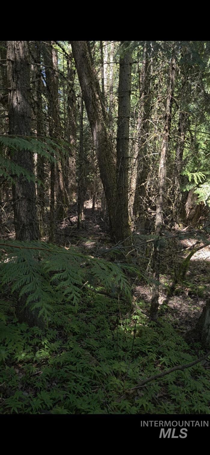 TBD Four Mile Rd., Viola, Idaho 83872, Land For Sale, Price $375,000,MLS 98950354