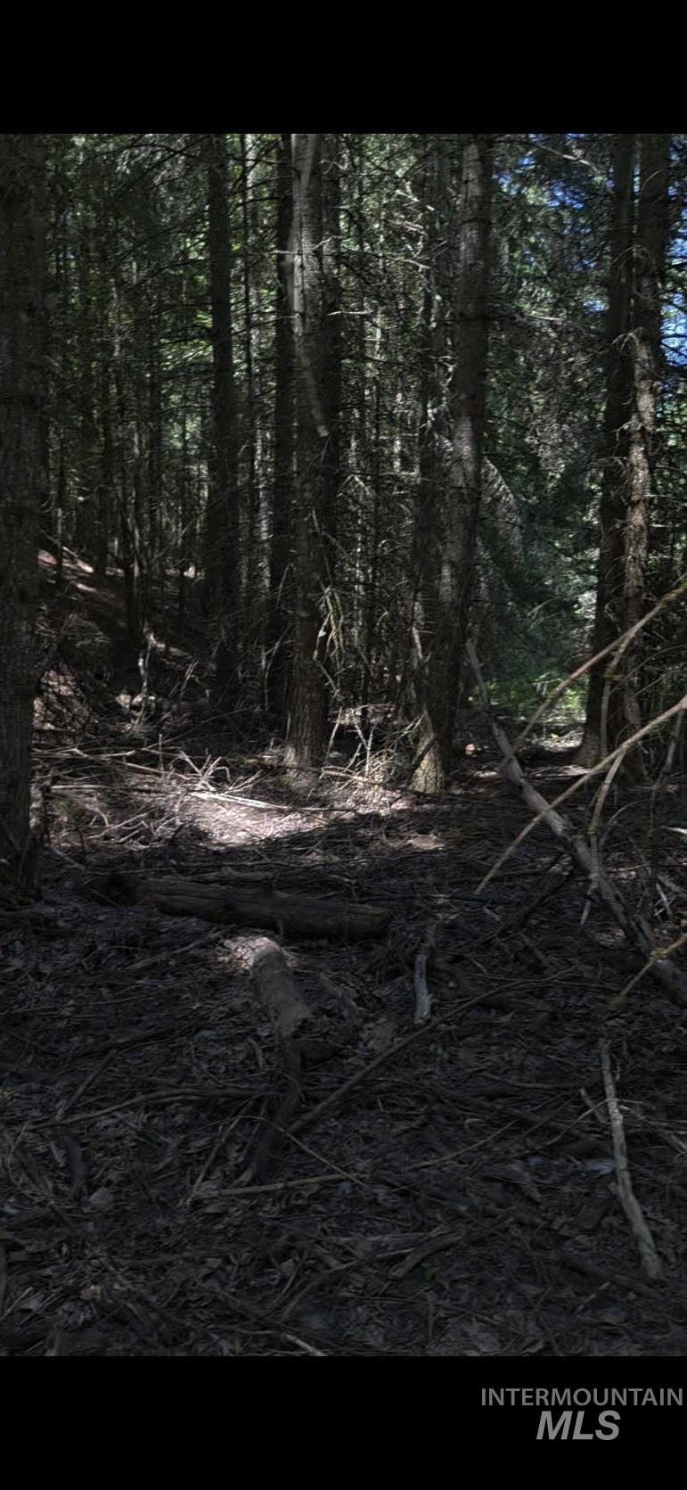 TBD Four Mile Rd., Viola, Idaho 83872, Land For Sale, Price $375,000,MLS 98950354