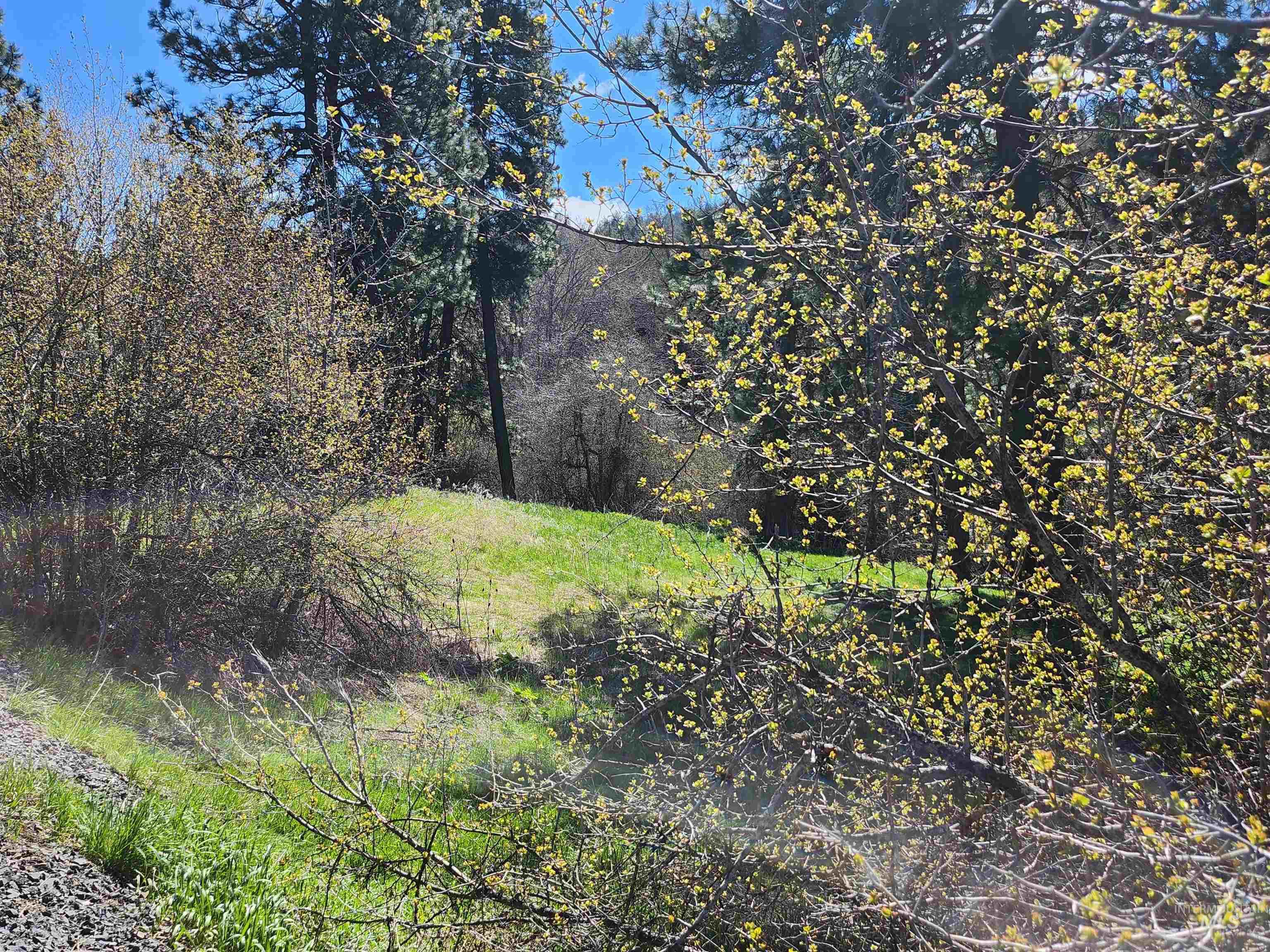 TBD Four Mile Rd., Viola, Idaho 83872, Land For Sale, Price $375,000,MLS 98950354