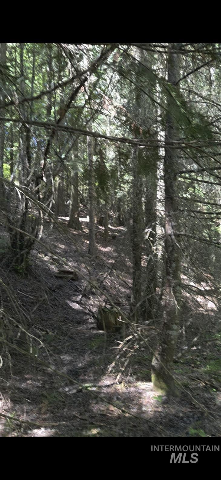 TBD Four Mile Rd., Viola, Idaho 83872, Land For Sale, Price $375,000,MLS 98950354