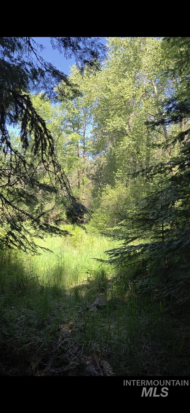 TBD Four Mile Rd., Viola, Idaho 83872, Land For Sale, Price $375,000,MLS 98950354