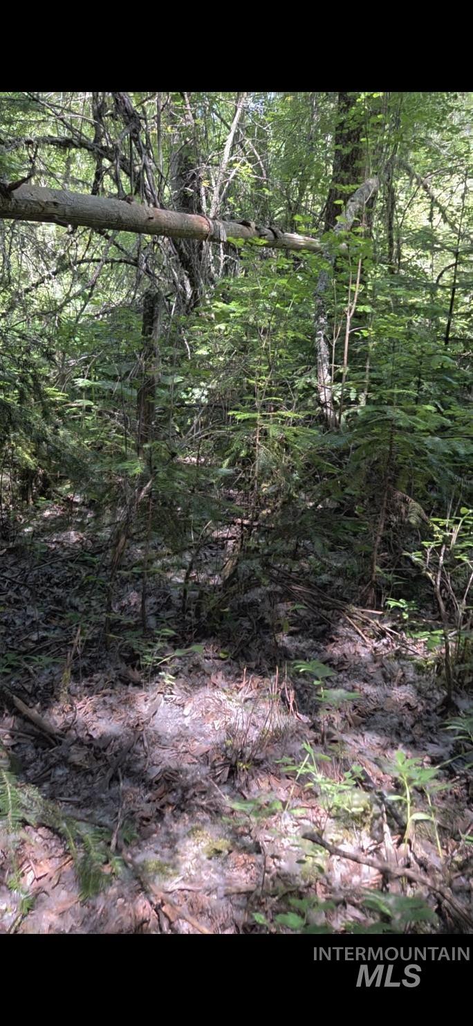 TBD Four Mile Rd., Viola, Idaho 83872, Land For Sale, Price $375,000,MLS 98950354