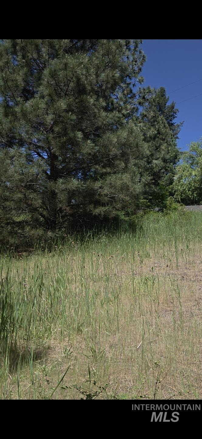 TBD Four Mile Rd., Viola, Idaho 83872, Land For Sale, Price $375,000,MLS 98950354