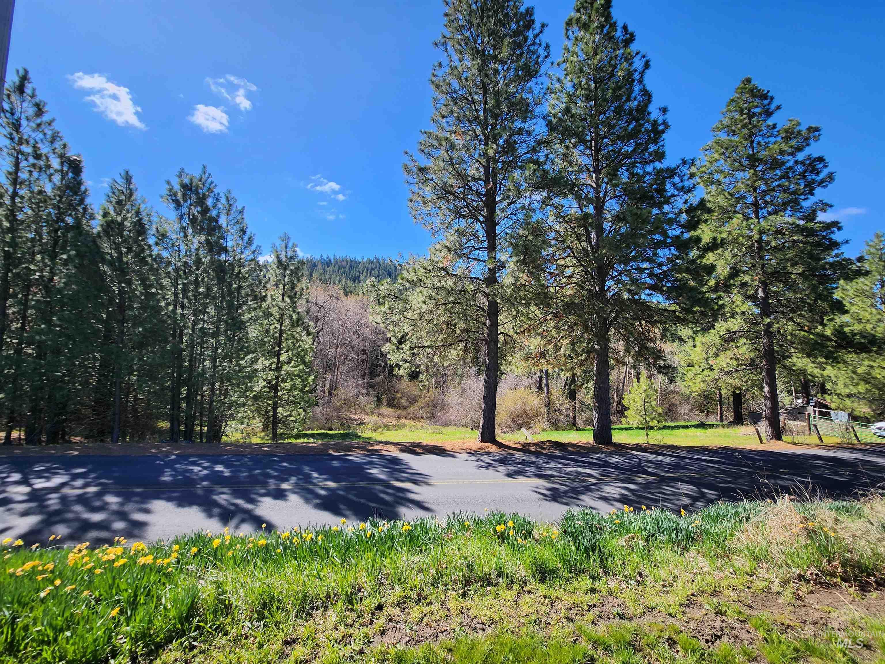 TBD Four Mile Rd., Viola, Idaho 83872, Land For Sale, Price $375,000,MLS 98950354