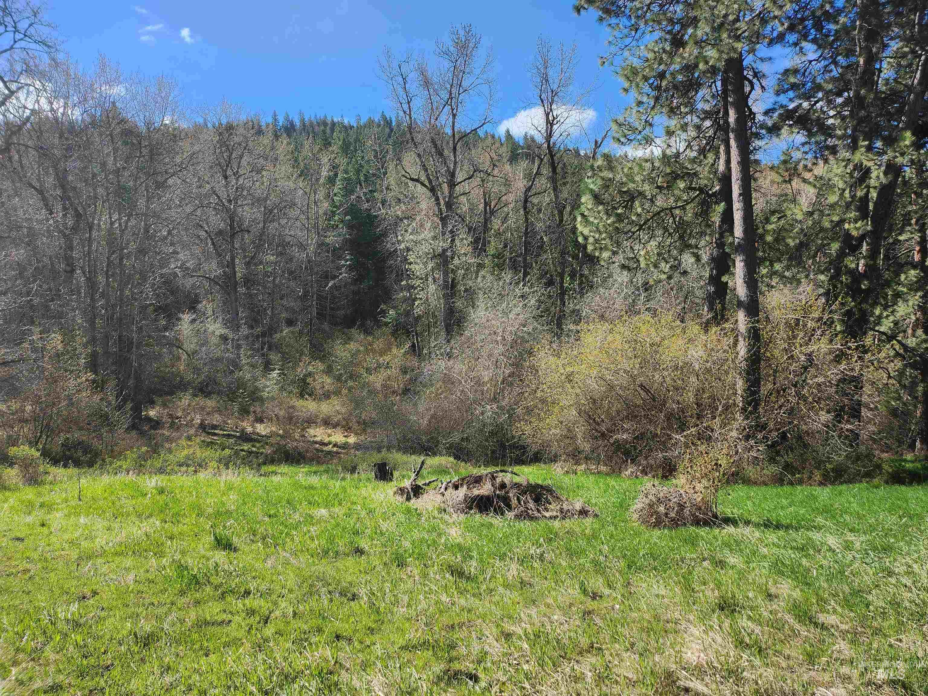 TBD Four Mile Rd., Viola, Idaho 83872, Land For Sale, Price $375,000,MLS 98950354