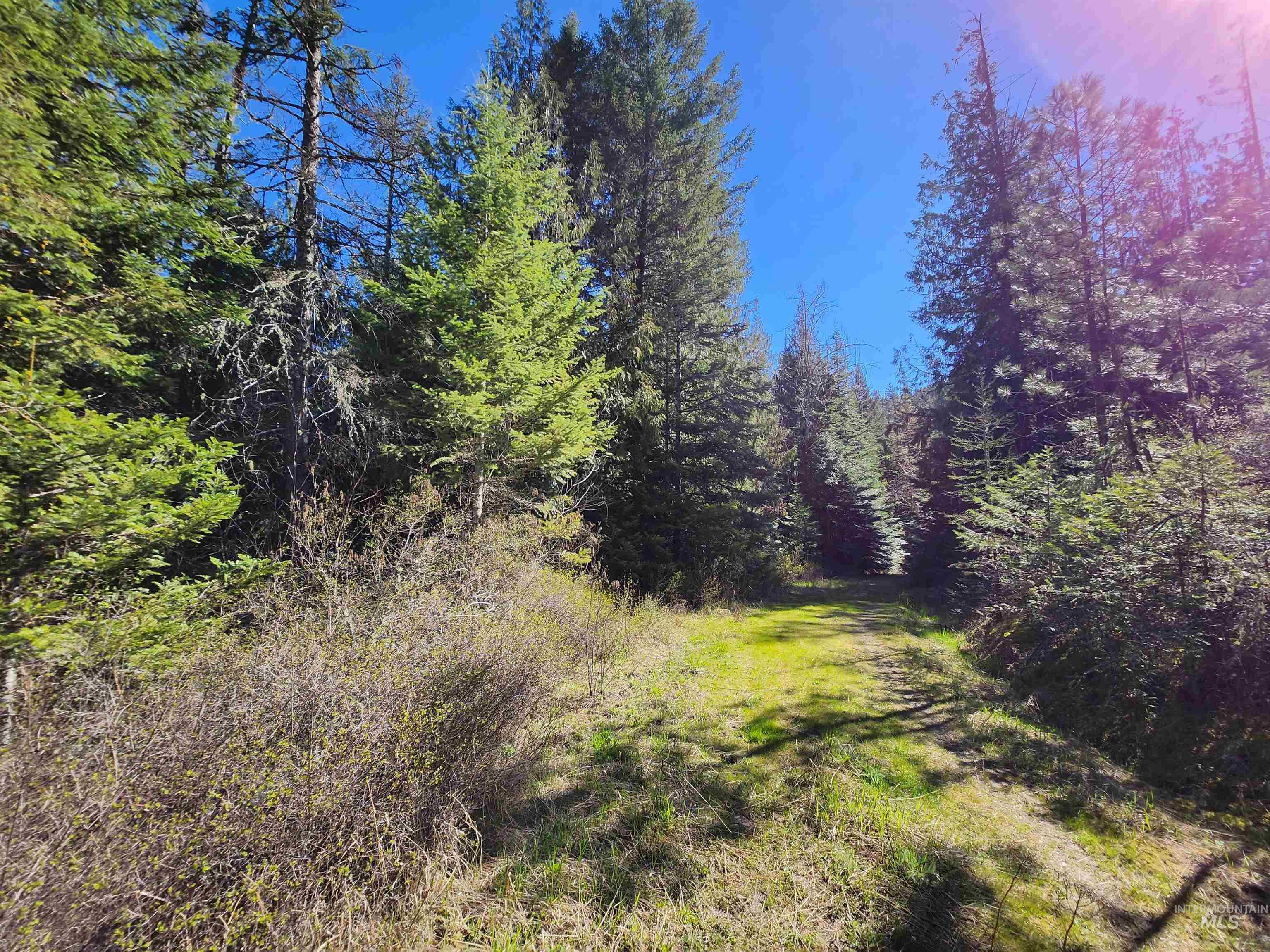 TBD Four Mile Rd., Viola, Idaho 83872, Land For Sale, Price $375,000,MLS 98950354