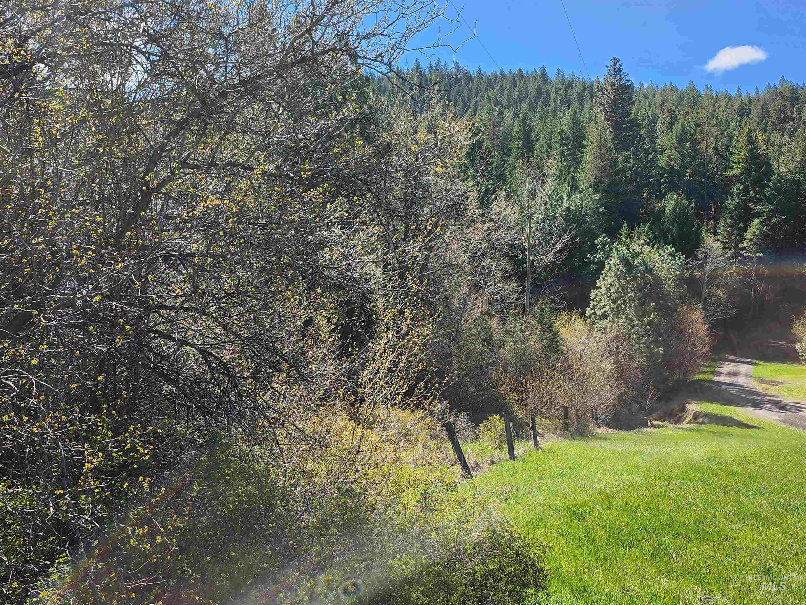 TBD Four Mile Rd., Viola, Idaho 83872, Land For Sale, Price $375,000,MLS 98950354
