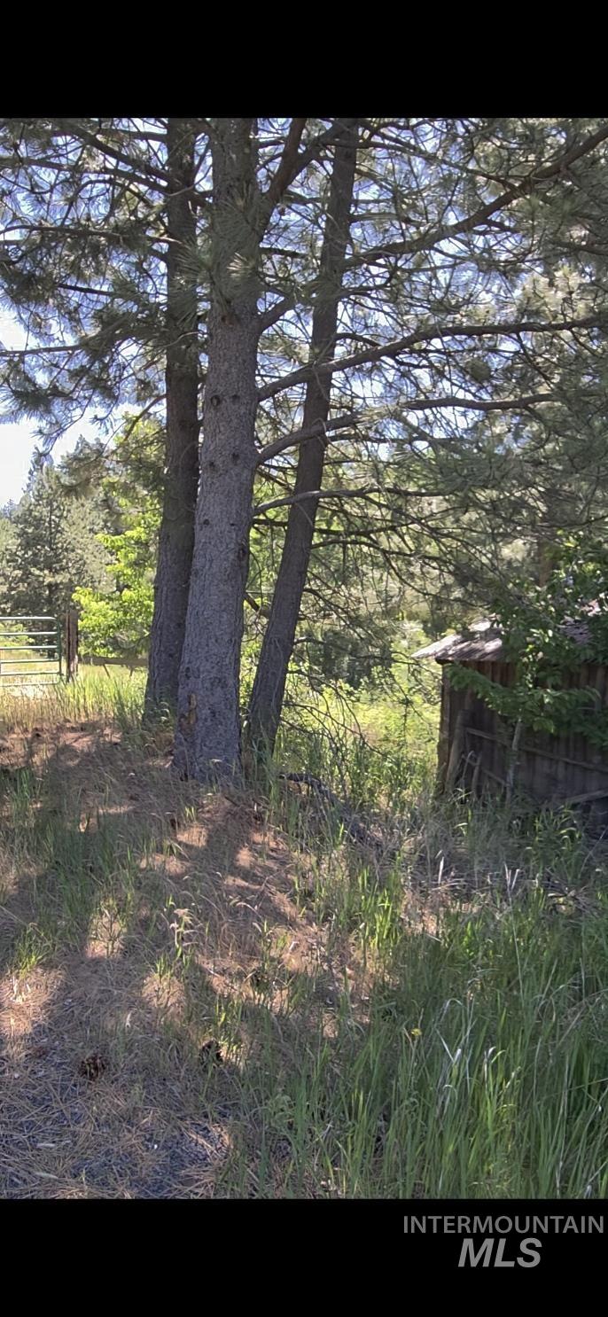 TBD Four Mile Rd., Viola, Idaho 83872, Land For Sale, Price $375,000,MLS 98950354