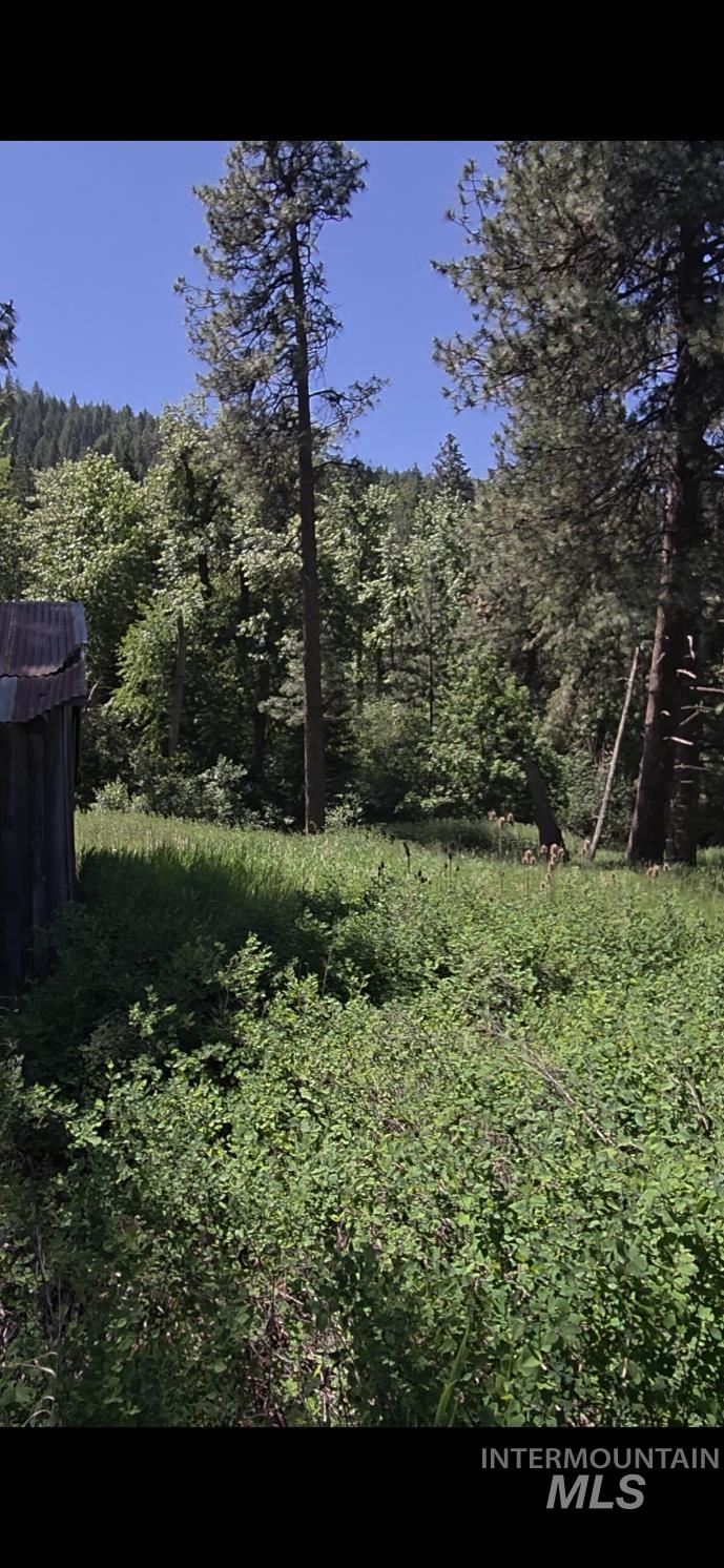 TBD Four Mile Rd., Viola, Idaho 83872, Land For Sale, Price $375,000,MLS 98950354