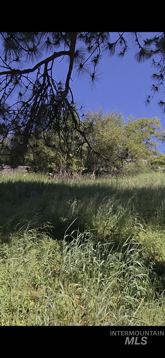 TBD Four Mile Rd., Viola, Idaho 83872, Land For Sale, Price $375,000,MLS 98950354