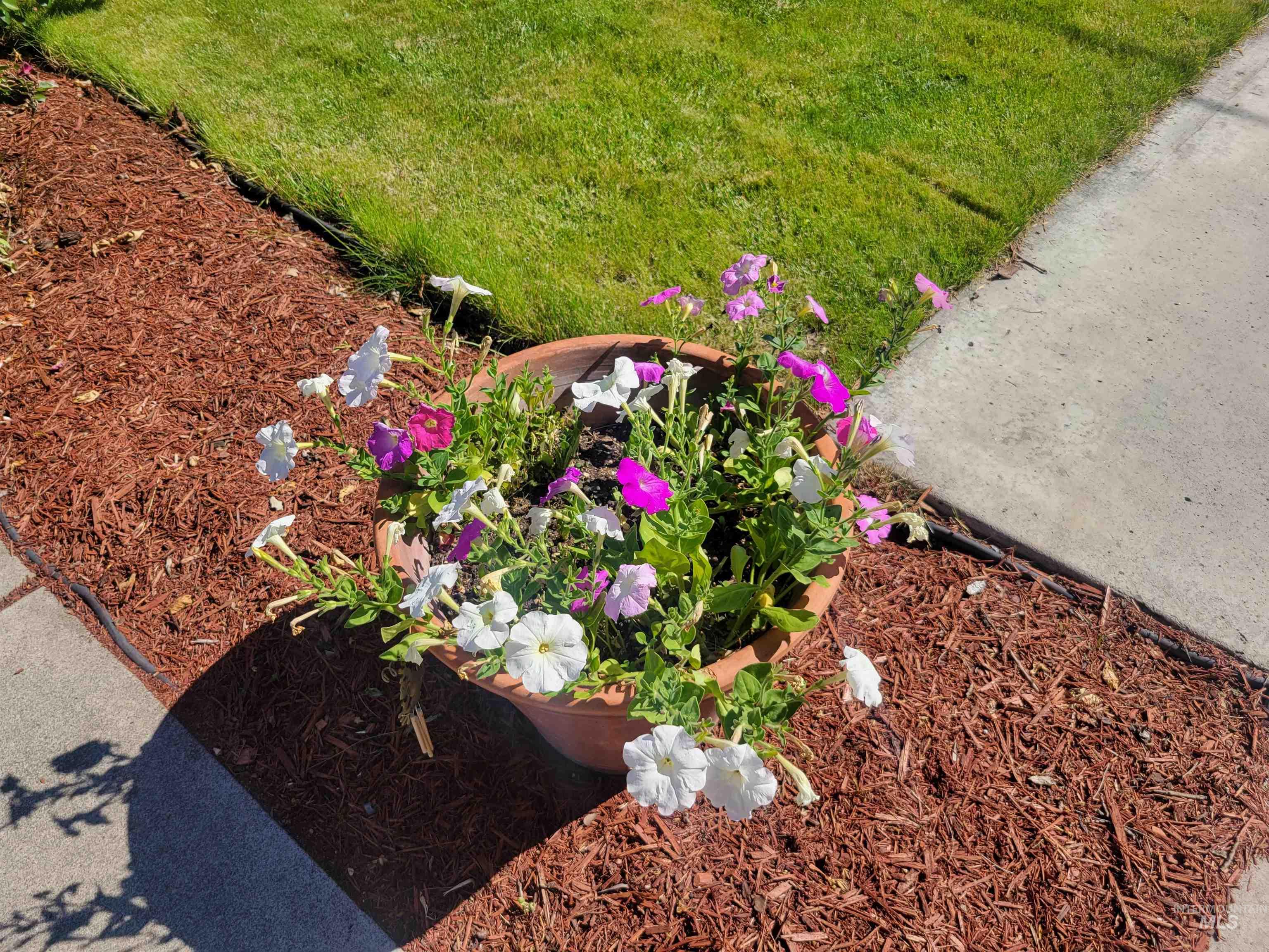 708 16th St, Clarkston, Washington 99403, 4 Bedrooms, 4 Bathrooms, Residential For Sale, Price $599,900,MLS 98950502