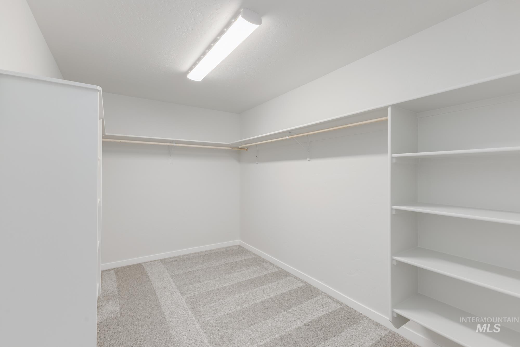 Spacious closet with carpet
