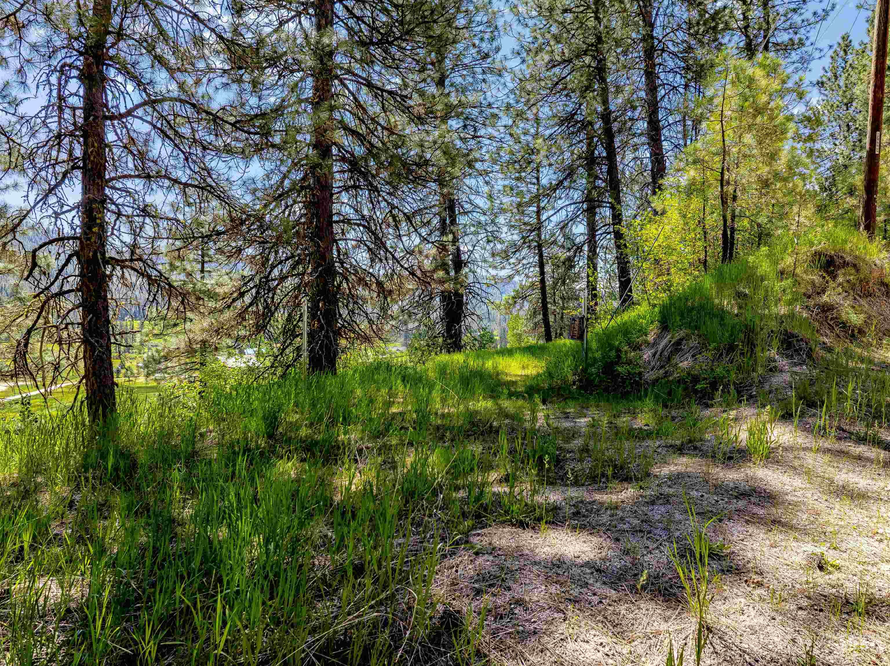 Lot 44 Scriver Creek, Garden Valley, Idaho 83622, Land For Sale, Price $199,000, 98950647