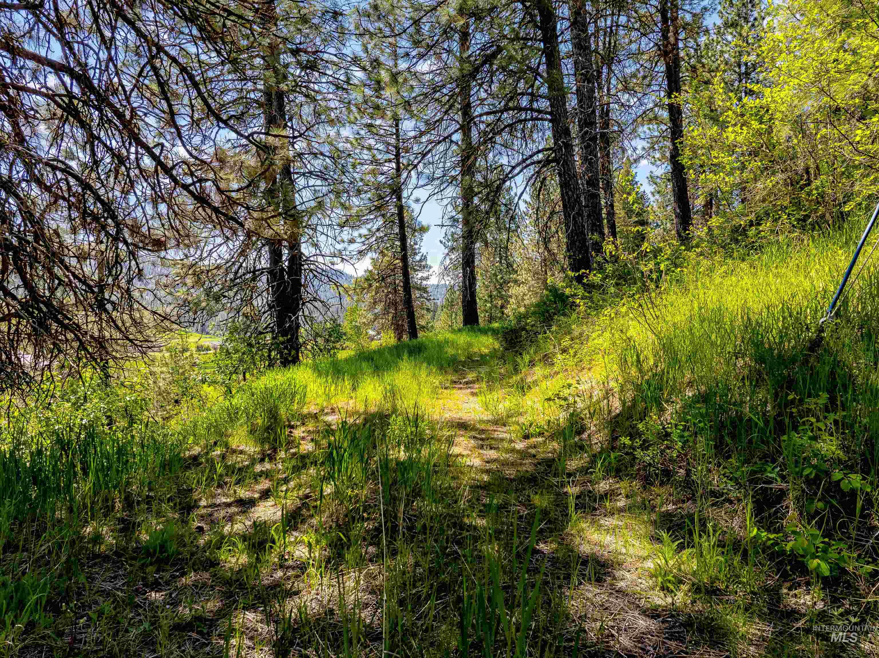 Lot 44 Scriver Creek, Garden Valley, Idaho 83622, Land For Sale, Price $199,000, 98950647