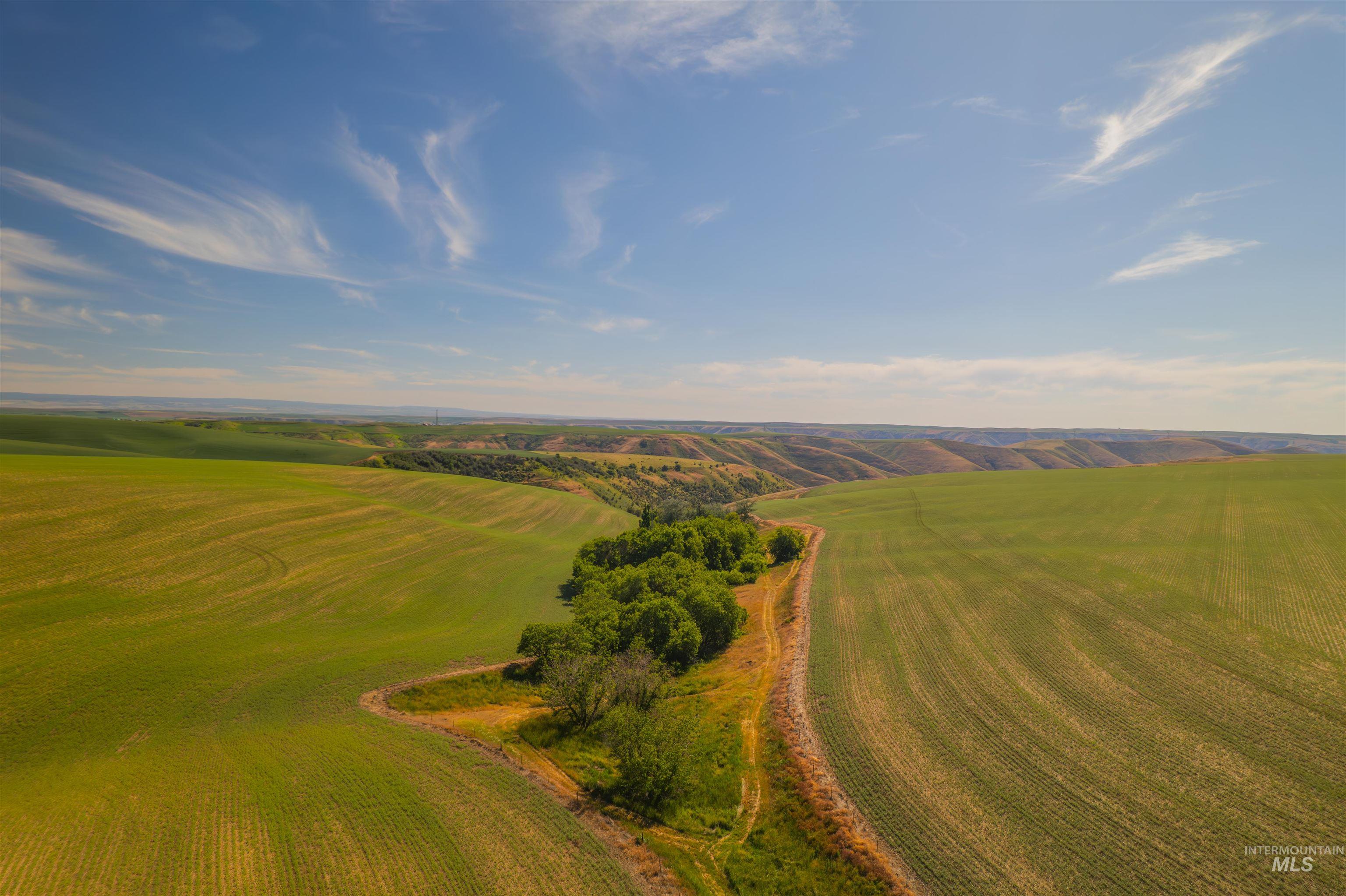 751 Boone Hill Rd, Colton, Washington 99113, 2 Bedrooms, 1 Bathroom, Residential For Sale, Price $450,000, 98950663