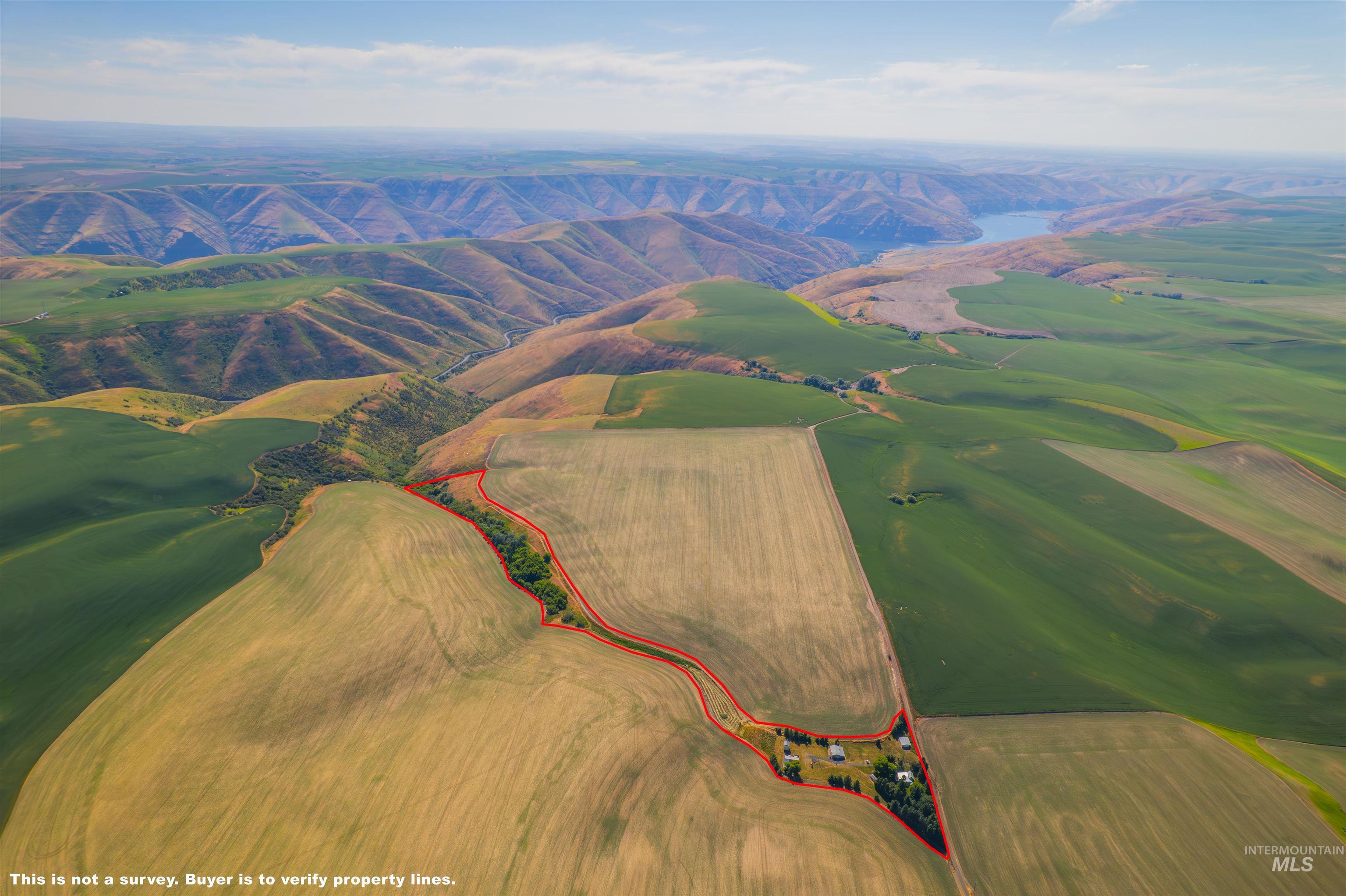 751 Boone Hill Rd, Colton, Washington 99113, 2 Bedrooms, 1 Bathroom, Residential For Sale, Price $450,000, 98950663