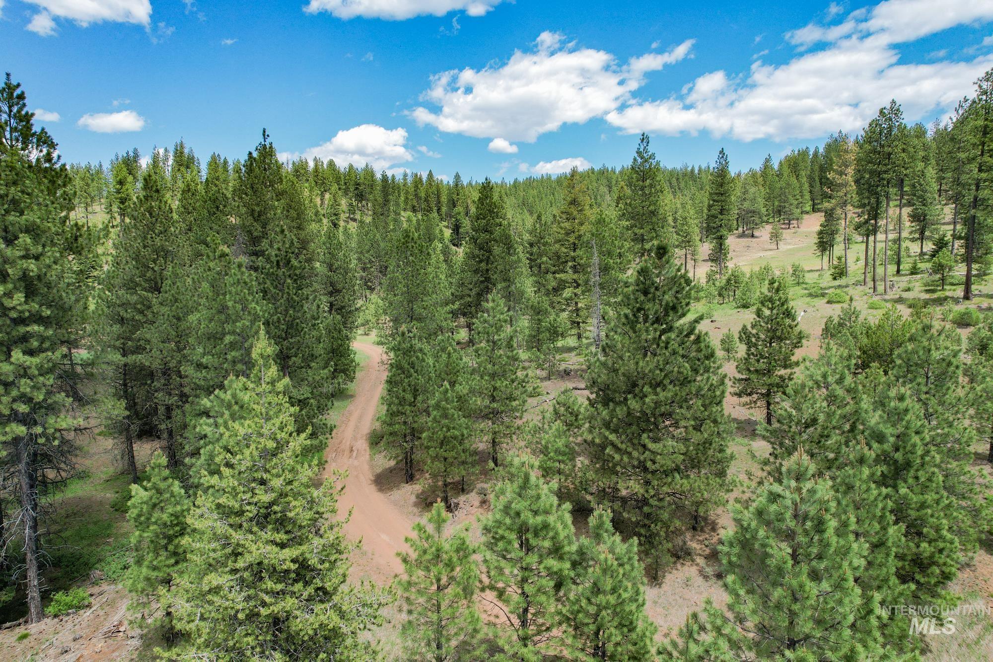 TBD Highway 95, New Meadows, Idaho 83654, Land For Sale, Price $1,909,695, 98950756