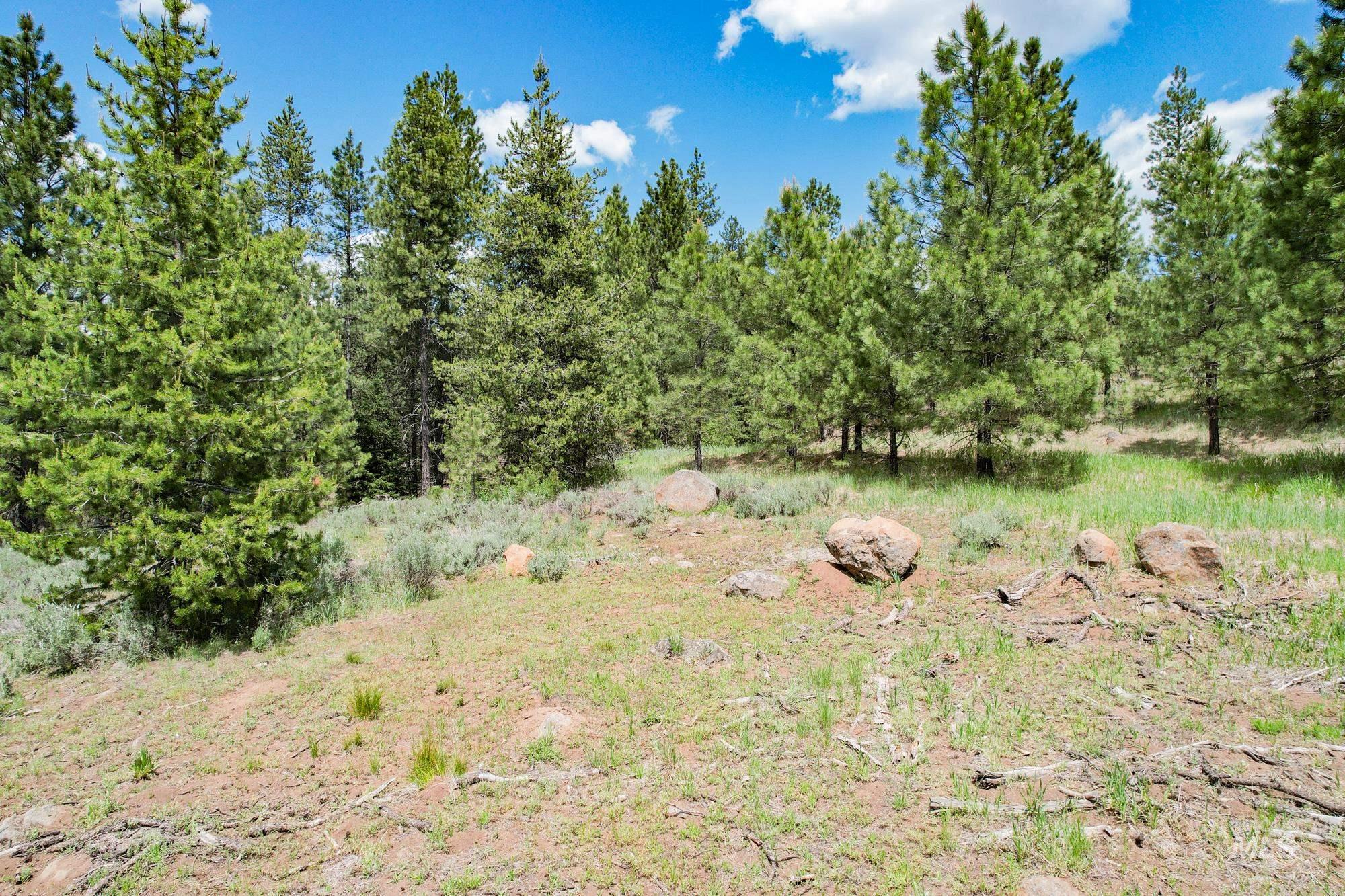 TBD Highway 95, New Meadows, Idaho 83654, Land For Sale, Price $1,909,695, 98950756